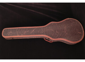 Gibson Melody Maker Model D (14708)