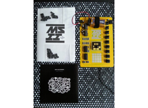 Dirty Electronics mute synth 2 (54090)