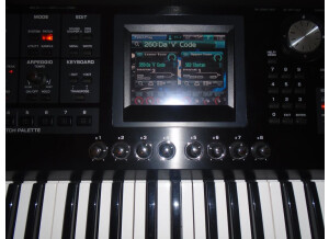 Roland V-Synth GT (56989)