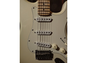 Squier Standard Stratocaster (12173)