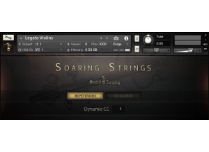 Musical Sampling Soaring String