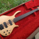 Expression Plus 5 Fretless Expression Plus 5 Fretless