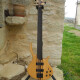 Expression Plus 5 Fretless Expression Plus 5 Fretless