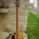 Expression Plus 5 Fretless Expression Plus 5 Fretless