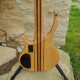 Expression Plus 5 Fretless Expression Plus 5 Fretless