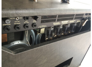 Mesa Boogie DC-10 Combo (19763)