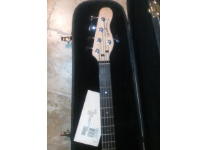 Godin SD5 Bass