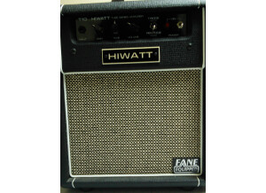 Hiwatt T10 (99646)
