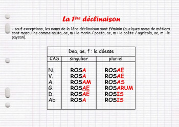 3 1ere decl 3 1ere decl