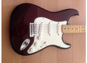 Fender Standard Stratocaster [2009-Current] (67014)