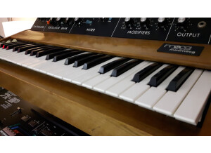 Moog Music Minimoog Model D (77445)
