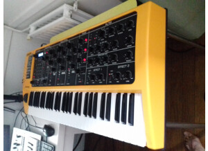 Moog Music SlimPhatty (66953)