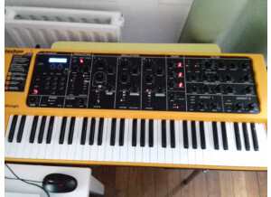 Moog Music SlimPhatty (93611)