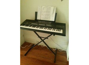 Yamaha PSR-E433 (23621)