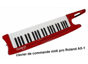 Roland AX-1 (90632)