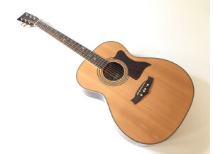 Tanglewood TW170 AS (81428)