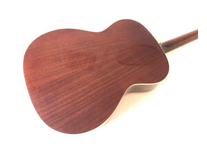 Tanglewood TW170 AS (31742)