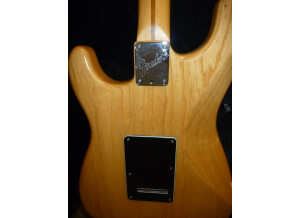 Fender American Standard Stratocaster [1986-2000] (96560)