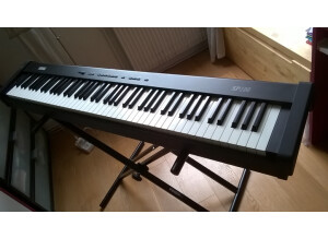 Korg SP-100 (15853)