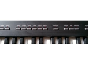 Korg SP-100 (10247)