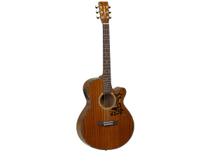Tanglewood TW47 B (77503)