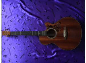Tanglewood TW47 B (60926)