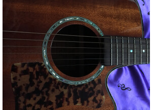 Tanglewood TW47 B (46943)