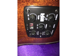 Tanglewood TW47 B (52898)