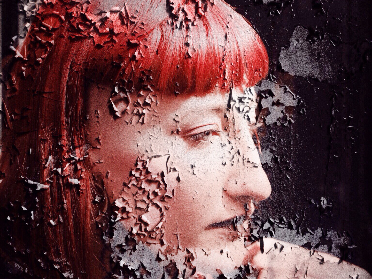 Les projets collectifs :