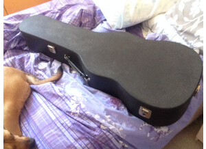 Gator Cases Jumbo Acoustic Guitar Case