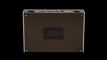 Mesa Boogie Rosette Acoustic DI Preamplifier : Mesa Boogie Rosette Acoustic DI Preamplifier (76055) Mesa Boogie Rosette Acoustic DI Preamplifier : Mesa Boogie Rosette Acoustic DI Preamplifier (76055)