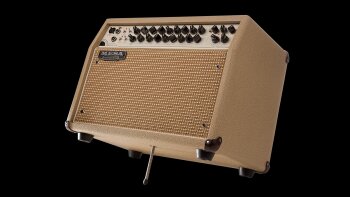 Mesa Boogie Rosette 300 / Two:Eight Acoustic Combo : Mesa Boogie Rosette 300 / Two:Eight Acoustic Combo (27889) Mesa Boogie Rosette 300 / Two:Eight Acoustic Combo : Mesa Boogie Rosette 300 / Two:Eight Acoustic Combo (27889)