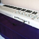SHORTboard 49 SHORTboard 49