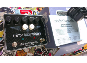 EHX tortion 02