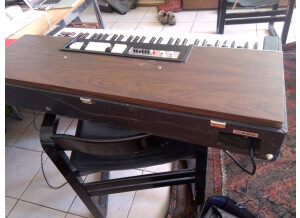 GEM Jumbo 61 R6 (43828)