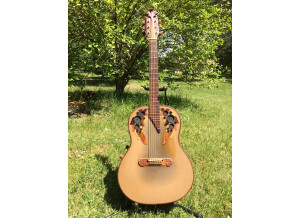 Adamas Guitars 1687 (15438)