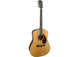 Fender PM-1 Deluxe Dreadnought (52998)