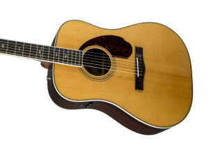 Fender PM-1 Deluxe Dreadnought (42936)