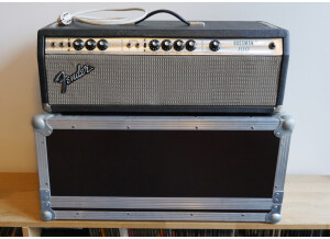 Fender Bassman 100 (Silverface) (89616)