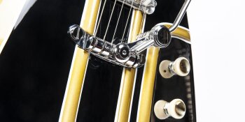 Wild Customs The Wild Customs The