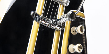 Wild Customs The Wild Customs The