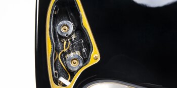 Wild Customs The Wild Customs The