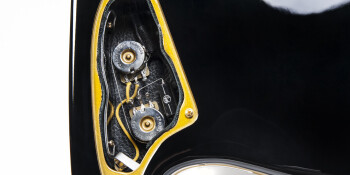 Wild Customs The Wild Customs The