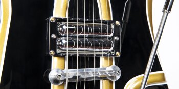 Wild Customs The Wild Customs The