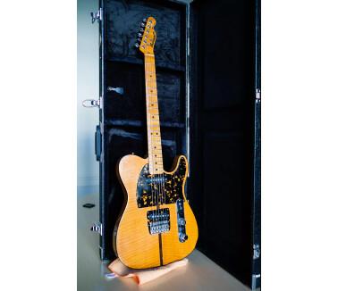 H.S. Anderson Mad Cat