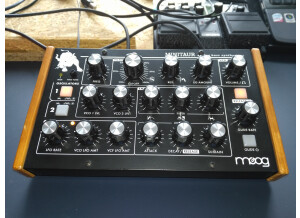 Moog Music Minitaur (46994)