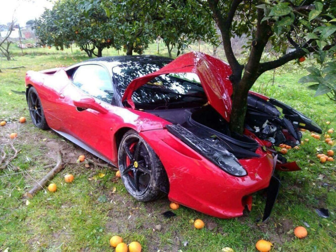 Ferrari in a tree