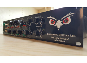 Thermionic Culture The Little Bustard