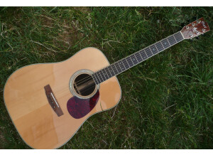 Cort Earth200 (20113)