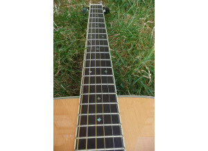 Cort Earth200 (3243)